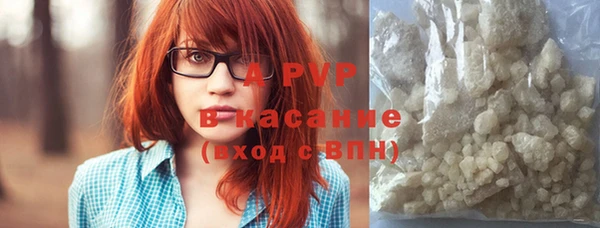 гашик Аркадак
