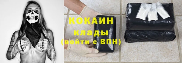 гашик Аркадак