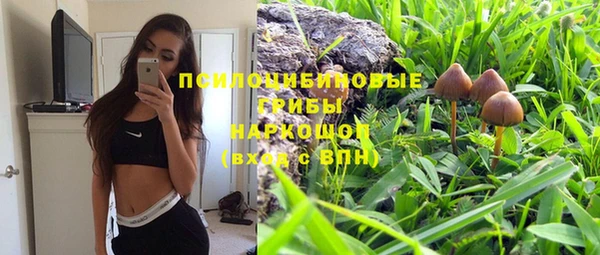 ГАЛЛЮЦИНОГЕННЫЕ ГРИБЫ Армянск
