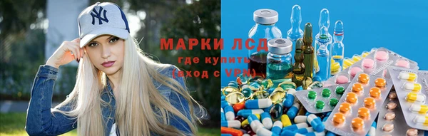 ГАЛЛЮЦИНОГЕННЫЕ ГРИБЫ Армянск