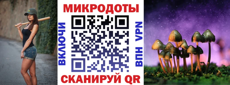Псилоцибиновые грибы Magic Shrooms  blacksprut ССЫЛКА  Салехард 